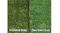 Split image comparing natural four‑coloured grass on the left and olive green artificial grass on the right Split image comparing natural four‑coloured grass on the left and olive green artificial grass on the right