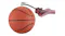 Extol mini air compressor inflating a basketball using the included hose and ball needle adapter Extol mini air compressor inflating a basketball using the included hose and ball needle adapter