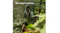 A person running on a forest trail wearing an Amazfit T‑Rex 3 smartwatch, illustrating 180+ sports modes for outdoor fitness A person running on a forest trail wearing an Amazfit T‑Rex 3 smartwatch, illustrating 180+ sports modes for outdoor fitness