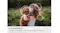A girl hugging a puppy, highlighting the 4K AI upscaling detail A girl hugging a puppy, highlighting the 4K AI upscaling detail