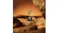 Bose wireless earbuds floating above an open charging case on a rocky surface with a warm desert setting Bose wireless earbuds floating above an open charging case on a rocky surface with a warm desert setting
