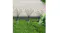 Three solar firefly garden stake lights with flexible stems and round LED tips are placed along a lawn near a patio and shrubs Three solar firefly garden stake lights with flexible stems and round LED tips are placed along a lawn near a patio and shrubs