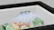 Freezer interior with cool airflow over frozen vegetables in containers and sealed bags Freezer interior with cool airflow over frozen vegetables in containers and sealed bags