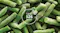 Close-up of frosty green beans with the text “Up to 126 hours” and a snowflake icon Close-up of frosty green beans with the text “Up to 126 hours” and a snowflake icon