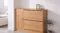 A sideboard cabinet with drawers and a door in a modern room, styled with framed art and a potted plant A sideboard cabinet with drawers and a door in a modern room, styled with framed art and a potted plant
