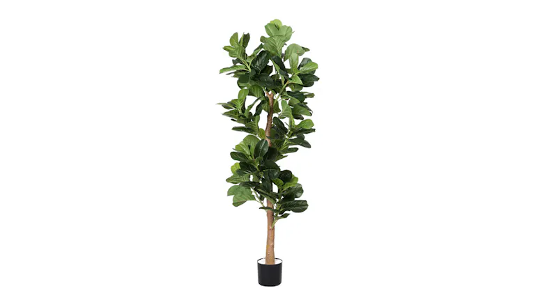 Tall Lambu artificial fiddle leaf fig tree with lush green leaves in a black pot Tall Lambu artificial fiddle leaf fig tree with lush green leaves in a black pot