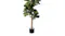 Lower section of an artificial fiddle leaf fig tree showing the trunk, dense leaves, and black planter Lower section of an artificial fiddle leaf fig tree showing the trunk, dense leaves, and black planter