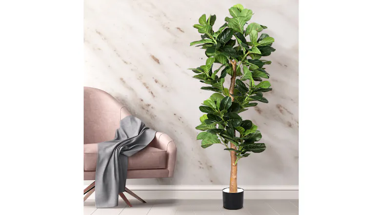Lambu artificial fiddle leaf fig tree in a black pot beside a pink armchair with a grey throw against a marble wall Lambu artificial fiddle leaf fig tree in a black pot beside a pink armchair with a grey throw against a marble wall