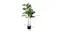 Artificial plant with dimensions shown: 100 cm tall, pot 13 × 13 cm, plant width 15 cm Artificial plant with dimensions shown: 100 cm tall, pot 13 × 13 cm, plant width 15 cm