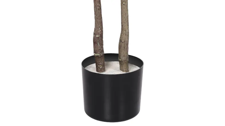 Black planter with two realistic tree trunks set in white filler Black planter with two realistic tree trunks set in white filler