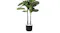 Artificial fiddle leaf fig with twin trunks and dense green foliage in a black pot Artificial fiddle leaf fig with twin trunks and dense green foliage in a black pot