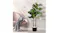 Artificial fiddle leaf fig in a black pot beside a blush armchair with a grey throw against a marble wall Artificial fiddle leaf fig in a black pot beside a blush armchair with a grey throw against a marble wall