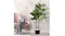 Decorative faux fiddle leaf fig tree with lush green leaves in a black pot next to a chair in a modern living room Decorative faux fiddle leaf fig tree with lush green leaves in a black pot next to a chair in a modern living room