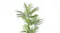 Detailed view of fake palm fronds with natural-looking leaf patterns for modern interior decor Detailed view of fake palm fronds with natural-looking leaf patterns for modern interior decor