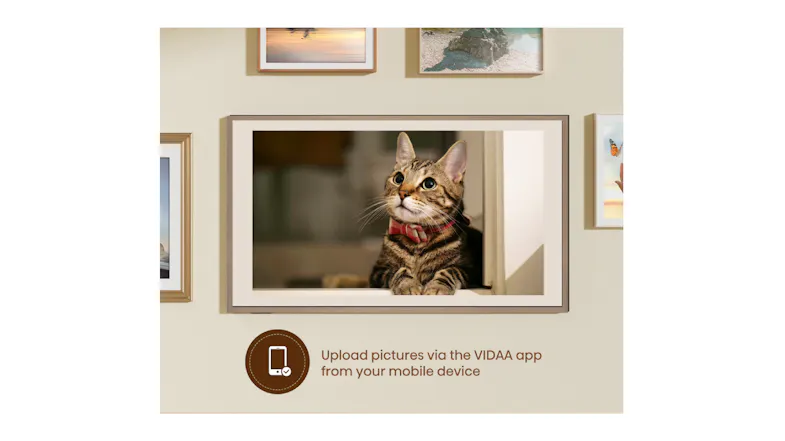 Framed Hisense TV displaying a cat photo on a gallery wall, with text about uploading pictures via the VIDAA app Framed Hisense TV displaying a cat photo on a gallery wall, with text about uploading pictures via the VIDAA app