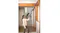 Person using the Shark PowerDetect cordless vacuum with an extended wand to clean a high wall or ceiling corner Person using the Shark PowerDetect cordless vacuum with an extended wand to clean a high wall or ceiling corner
