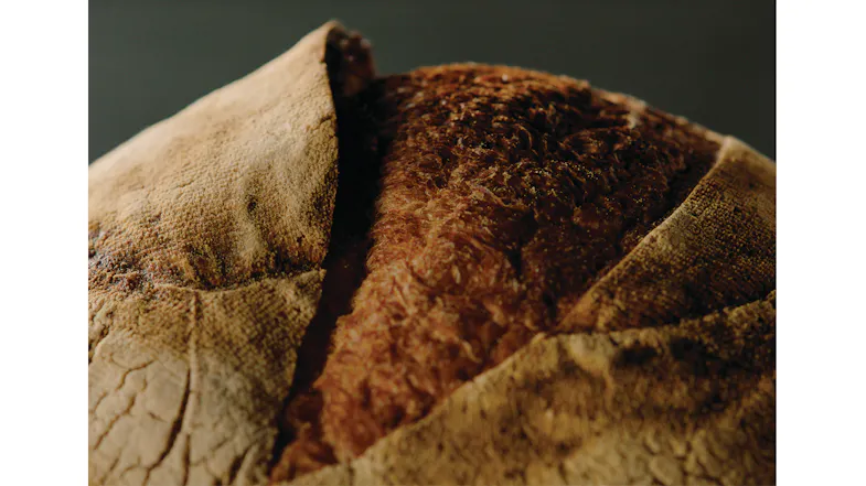 Close-up view highlighting a dish baking inside an oven Close-up view highlighting a dish baking inside an oven