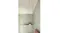Minimalist shower corner with pastel tiles, frosted glass divider, and built-in shelf with plants Minimalist shower corner with pastel tiles, frosted glass divider, and built-in shelf with plants