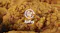 Crispy fried food showcasing the circular air fry icon Crispy fried food showcasing the circular air fry icon