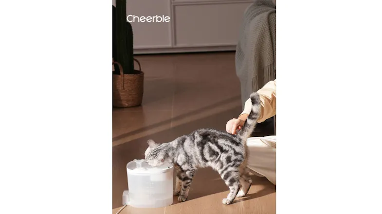 Cat drinking from a fountain while a person gently pets its back, showcasing quiet operation and a comfortable home use setting Cat drinking from a fountain while a person gently pets its back, showcasing quiet operation and a comfortable home use setting