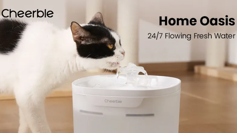 Cat drinking from a water fountain indoors, highlighting a flowing, fresh water feature and a modern, clean home setup Cat drinking from a water fountain indoors, highlighting a flowing, fresh water feature and a modern, clean home setup