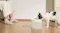 Cat drinking from a pet fountain on a wooden floor indoors, with a person sitting nearby, showing a calm, everyday home use scene Cat drinking from a pet fountain on a wooden floor indoors, with a person sitting nearby, showing a calm, everyday home use scene