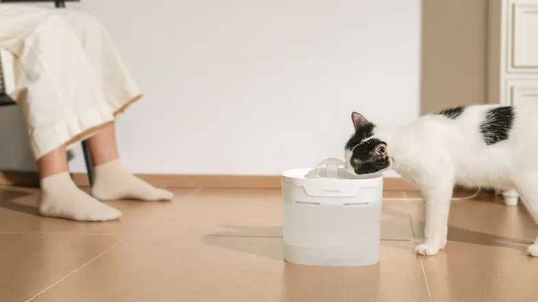 Cat drinking from a pet fountain on a wooden floor indoors, with a person sitting nearby, showing a calm, everyday home use scene Cat drinking from a pet fountain on a wooden floor indoors, with a person sitting nearby, showing a calm, everyday home use scene
