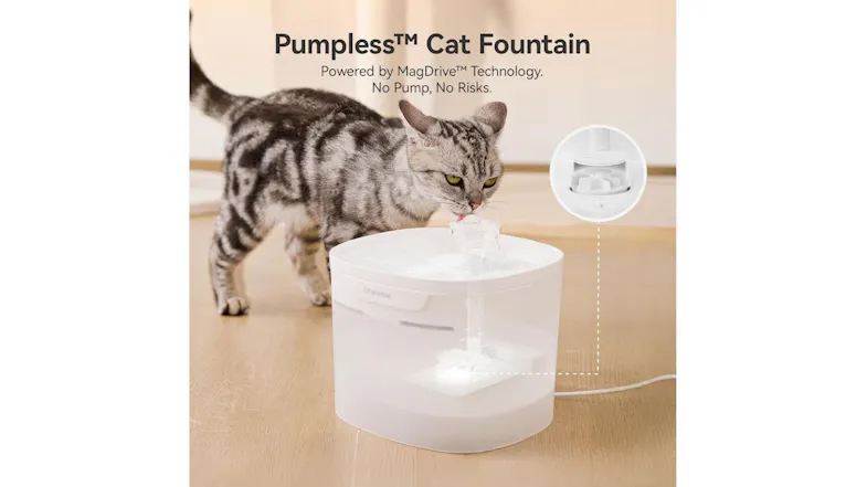 Cat using Cheerble pumpless water fountain with MagDrive system, showing clear water flow and safe pump-free internal design Cat using Cheerble pumpless water fountain with MagDrive system, showing clear water flow and safe pump-free internal design
