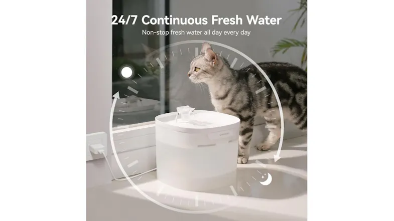 A cat beside a water fountain by a window, illustrating 24/7 continuous freshwater circulation with a clean, modern setup A cat beside a water fountain by a window, illustrating 24/7 continuous freshwater circulation with a clean, modern setup