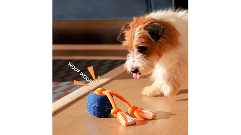 A small dog is looking at a blue-and-orange rope ball toy emitting “WOOF WOOF!” text on a wooden floor A small dog is looking at a blue-and-orange rope ball toy emitting “WOOF WOOF!” text on a wooden floor