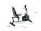 Exercise bike with recumbent design measuring 135 cm long, 64 cm wide, and 93 cm high Exercise bike with recumbent design measuring 135 cm long, 64 cm wide, and 93 cm high