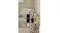 Vintage Leather & Cedarwood reed diffuser set displayed in a modern, stylish interior setting Vintage Leather & Cedarwood reed diffuser set displayed in a modern, stylish interior setting