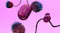 Bose QuietComfort wireless earbuds and charging case in Rosewood Mauve arranged with floral elements Bose QuietComfort wireless earbuds and charging case in Rosewood Mauve arranged with floral elements
