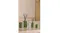 A view of the Moss St. room fragrance, scented candle, and reed diffuser products A view of the Moss St. room fragrance, scented candle, and reed diffuser products