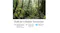 Sustainability-focused graphic featuring text about environmentally conscious design and materials used Sustainability-focused graphic featuring text about environmentally conscious design and materials used