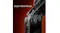 Durability banner highlighting super steel hinge structure details Durability banner highlighting super steel hinge structure details