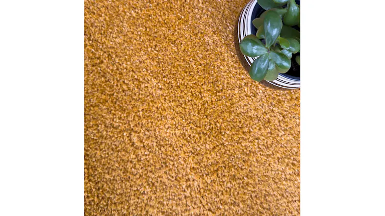 Detailed surface view of the Remi Rug in Amber with a decorative potted plant partially visible Detailed surface view of the Remi Rug in Amber with a decorative potted plant partially visible