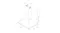 Technical line drawing showing the precise dimensions of the Smeg Portofino wall rangehood Technical line drawing showing the precise dimensions of the Smeg Portofino wall rangehood