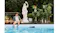 Lifestyle image of the Aiper Scuba X1 Pro Max cleaning a swimming pool while people relax poolside Lifestyle image of the Aiper Scuba X1 Pro Max cleaning a swimming pool while people relax poolside
