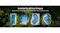 Graphic showing compatibility with various pool shapes Graphic showing compatibility with various pool shapes