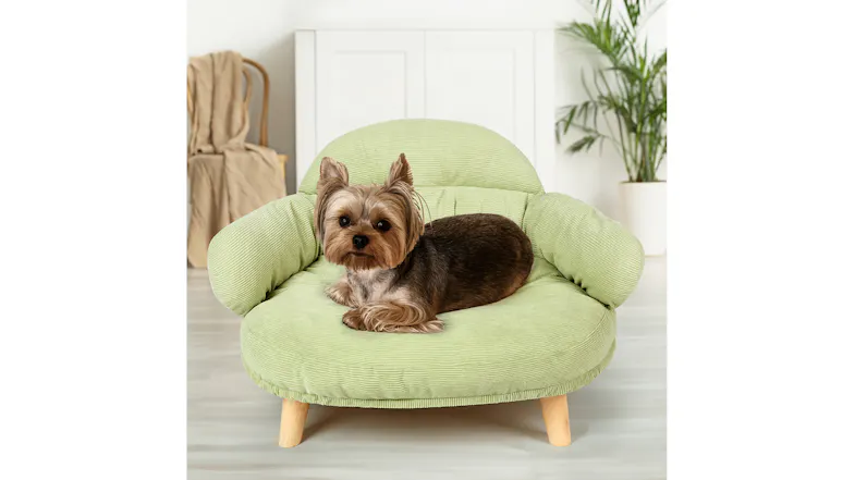 Light green pet sofa with a small dog lying on it, front angled view in a lit interior Light green pet sofa with a small dog lying on it, front angled view in a lit interior