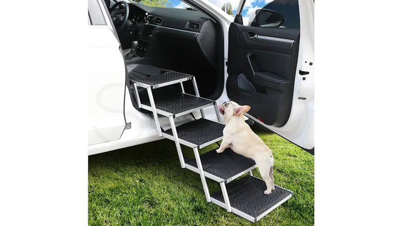 A dog climbing silver aluminium folding steps leading to the open door of a white car parked on grass A dog climbing silver aluminium folding steps leading to the open door of a white car parked on grass