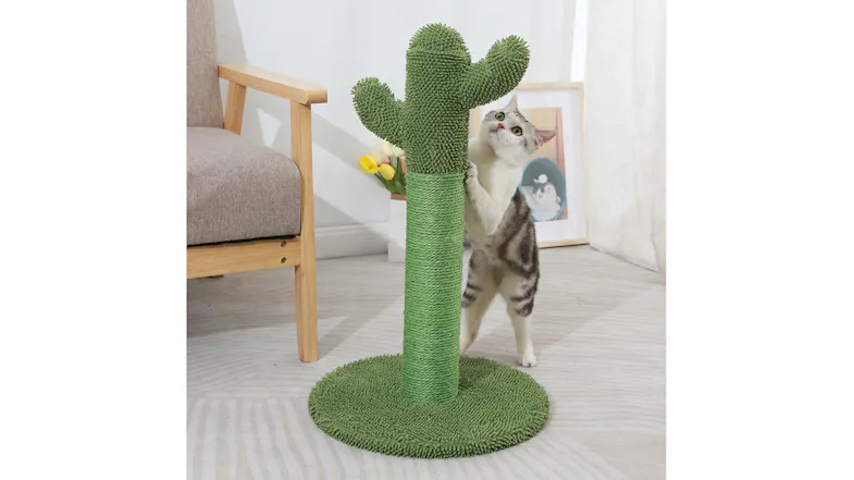 Cat beside a green cactus-shaped PaWz Cat Scratching Post with a sisal rope column and plush round base in a room setting Cat beside a green cactus-shaped PaWz Cat Scratching Post with a sisal rope column and plush round base in a room setting
