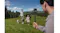 DJI Osmo 360 camera mounted on an extension pole filming people in a grassy park DJI Osmo 360 camera mounted on an extension pole filming people in a grassy park