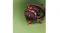 Folded QuietComfort Ultra headphones styled with fresh cherries on a green background Folded QuietComfort Ultra headphones styled with fresh cherries on a green background