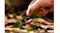 Close-up of a SanDisk Extreme PRO SD Card held above dried leaves in an outdoor setting Close-up of a SanDisk Extreme PRO SD Card held above dried leaves in an outdoor setting