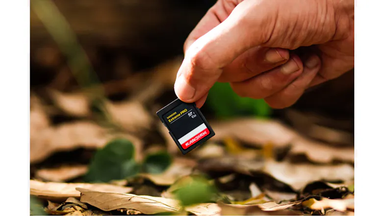 Close-up of a SanDisk Extreme PRO SD Card held above dried leaves in an outdoor setting Close-up of a SanDisk Extreme PRO SD Card held above dried leaves in an outdoor setting