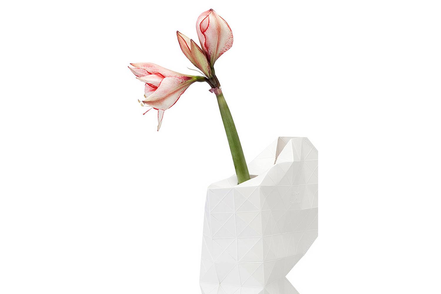 Paper Vase Cover by Pepe Heykoop & Tiny Miracles Foundation Space