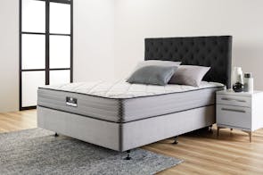 Support Plus Bed by Sealy