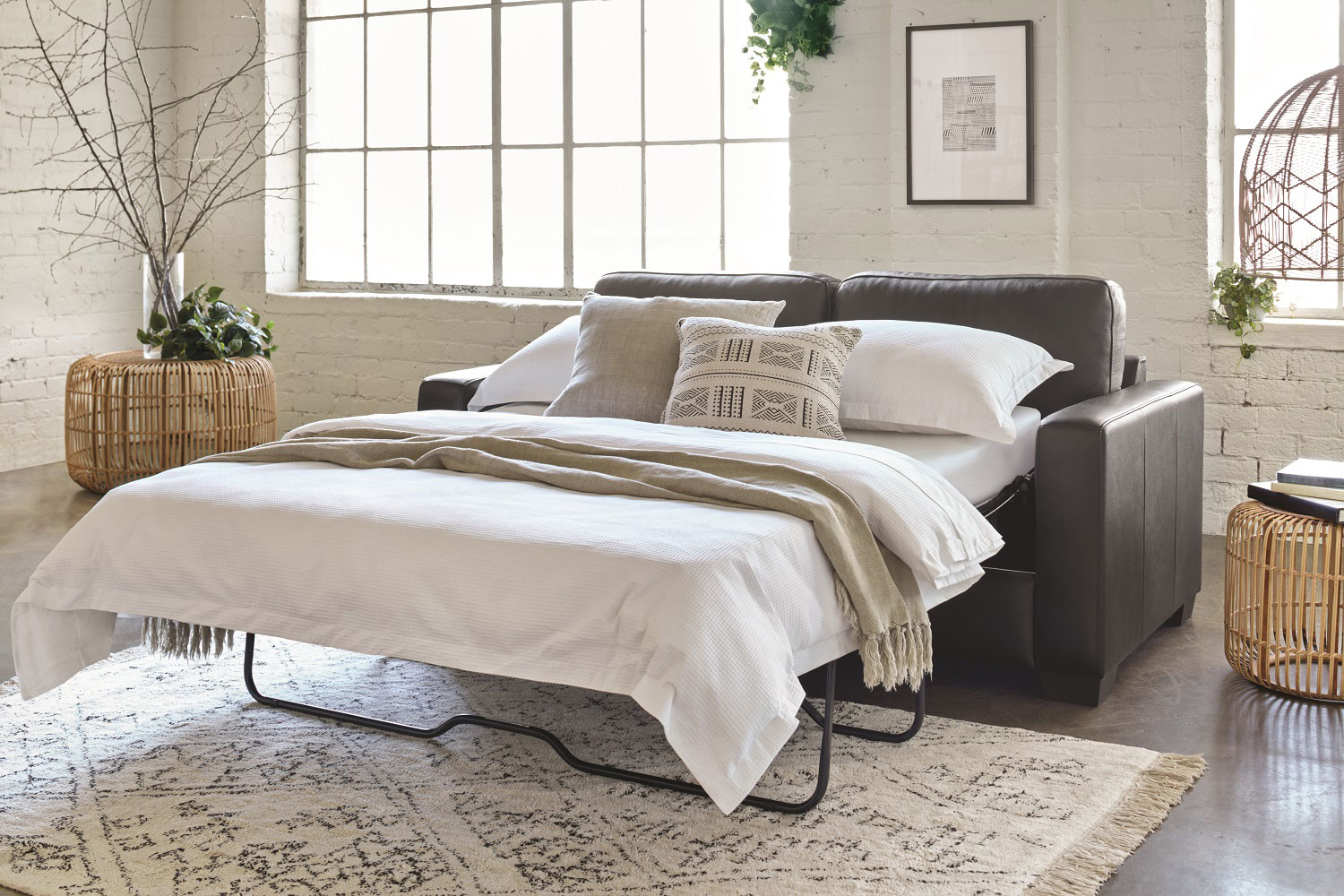 Sofa Beds Sofa Bed, Sofa, Sofa Beds, Sofas Harvey Norman New Zealand